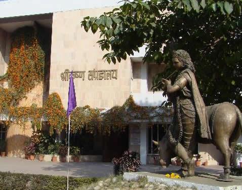 SRI KRISHNA Sclupture